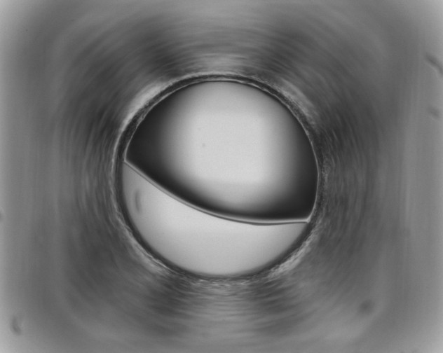 X0000097971077200803241014