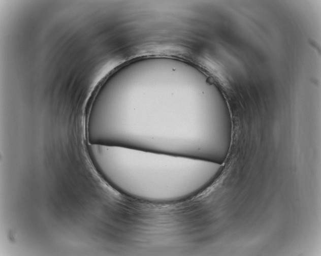 X0000097971079200803241014
