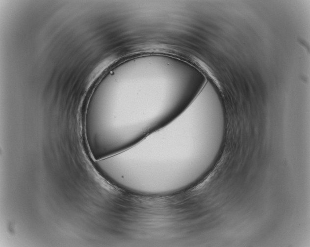 X0000097971082200803241014