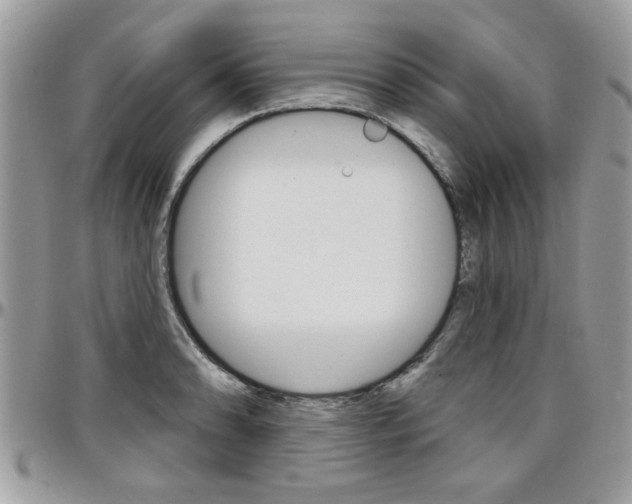 X0000097971086200803241014