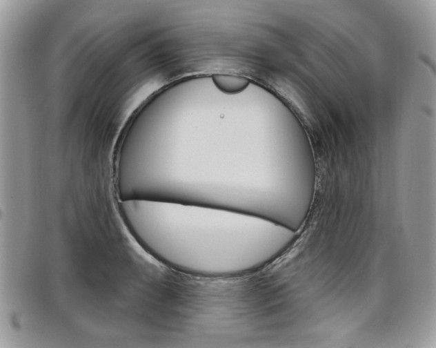 X0000097971087200803241014