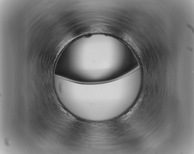 X0000097971089200803241014