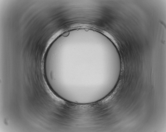X0000097971090200803241014