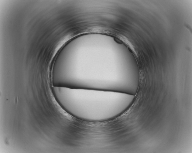 X0000097971091200803241014