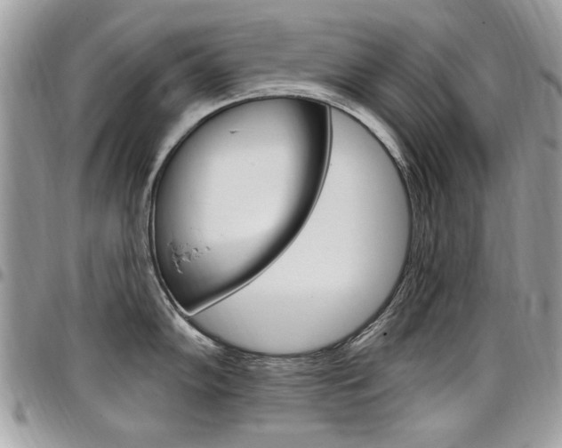 X0000097971102200803241014