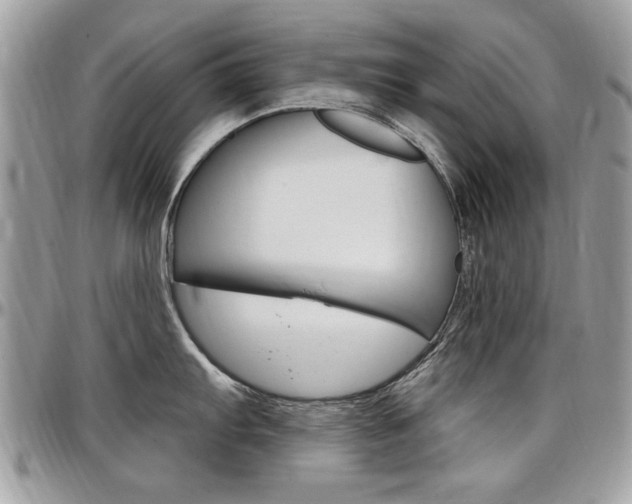 X0000097971103200803241014