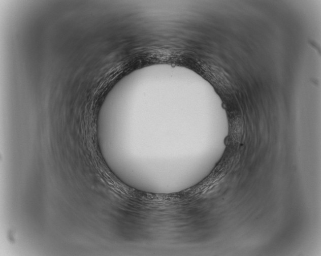 X0000097971105200803241013