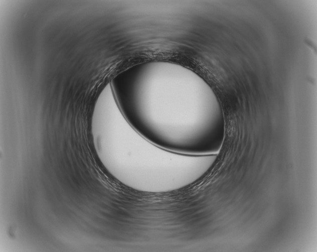 X0000097971108200803241013