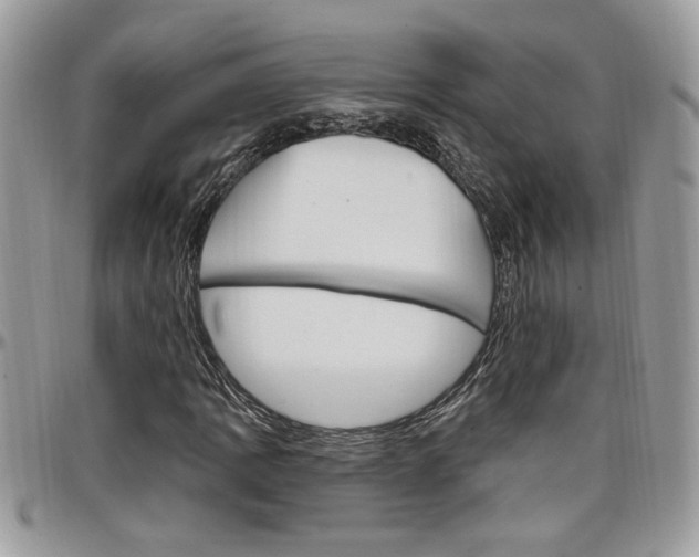 X0000097971109200803241013