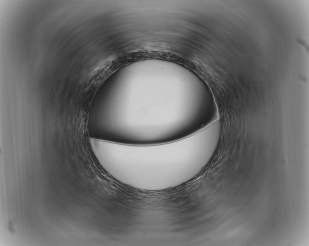X0000097971110200803241013
