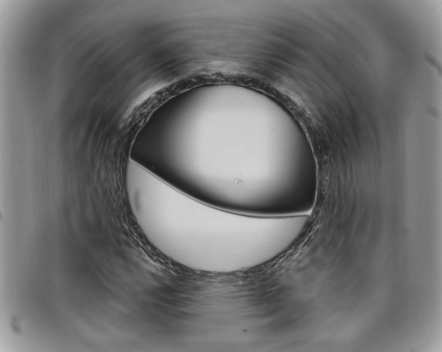 X0000097971112200803241013