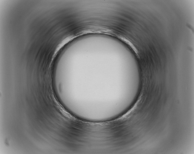 X0000097971114200803241013