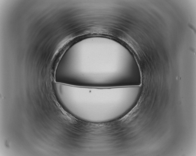 X0000097971115200803241013
