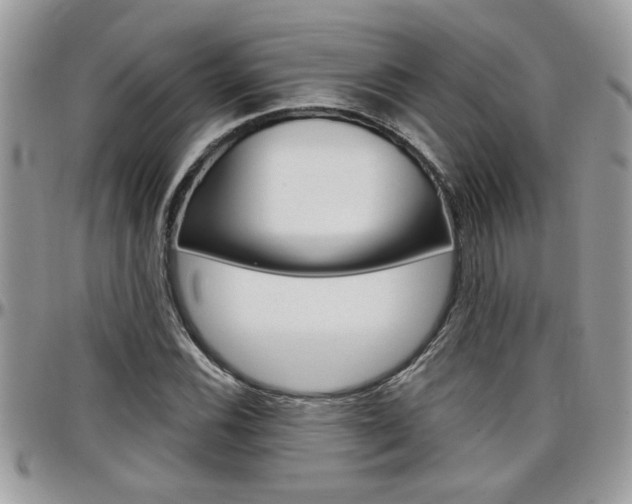 X0000097971116200803241013