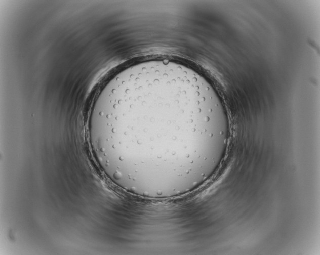 X0000097971117200803241013