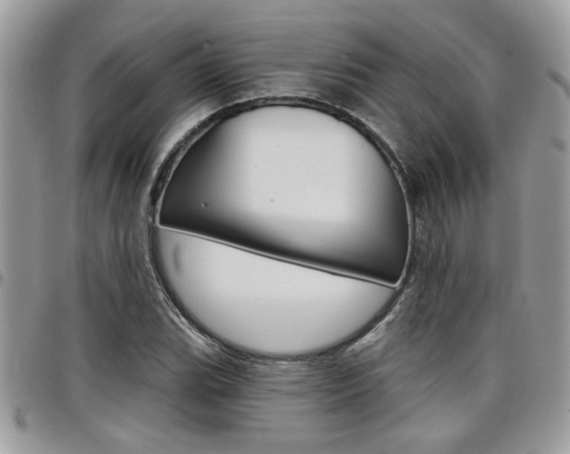 X0000097971119200803241013