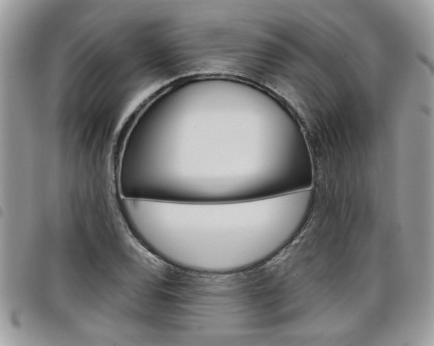 X0000097971120200803241013