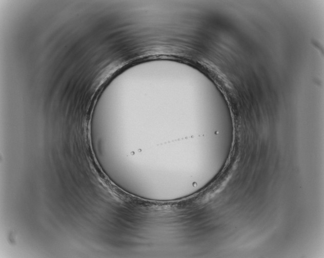 X0000097971121200803241013