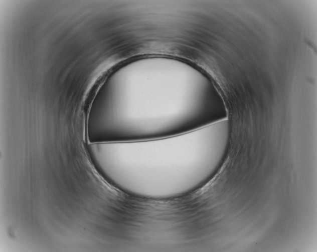X0000097971123200803241013