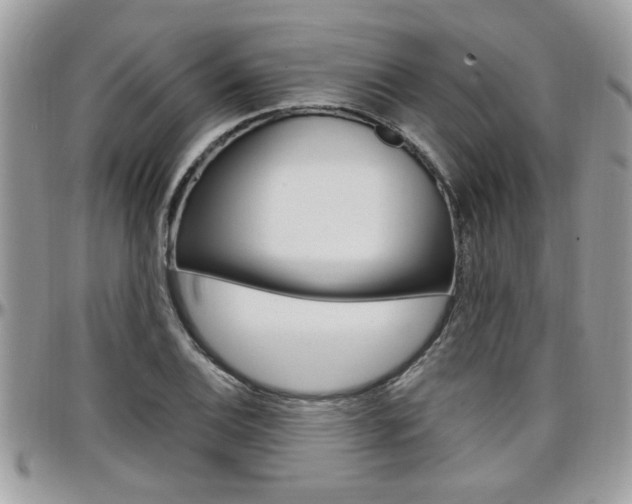 X0000097971124200803241013