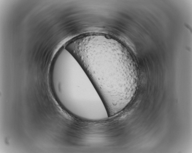 X0000097971125200803241013