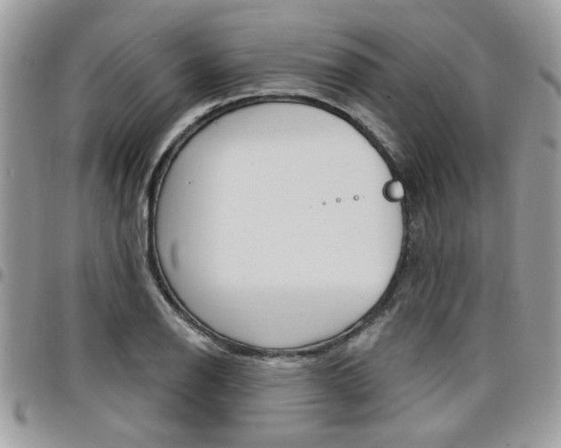 X0000097971126200803241013