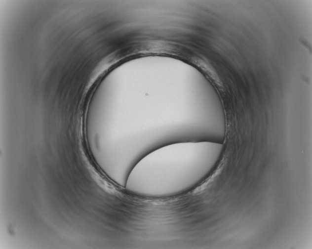 X0000097971130200803241013