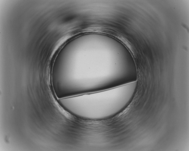 X0000097971131200803241013