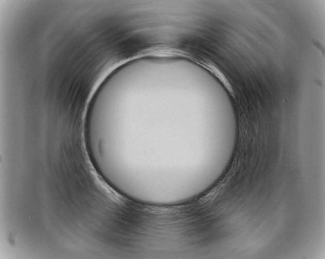 X0000097971132200803241013