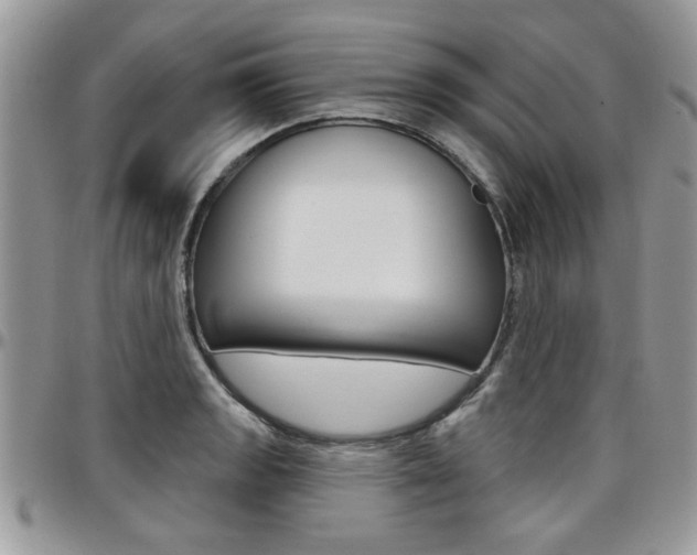 X0000097971133200803241013