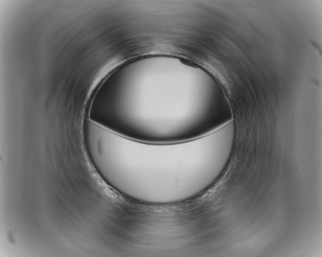 X0000097971138200803241014