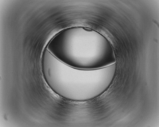 X0000097971140200803241014