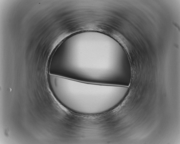 X0000097971141200803241014