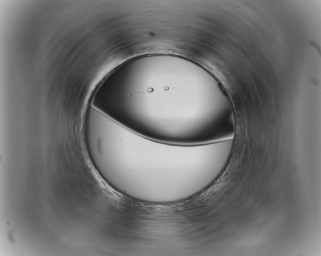 X0000097971144200803241014