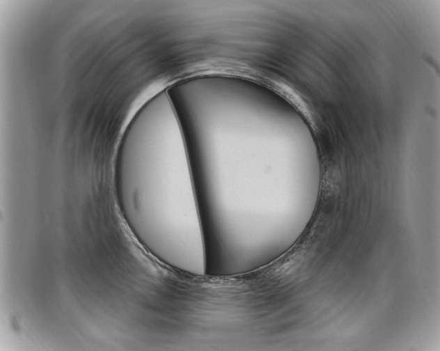 X0000097971146200803241014