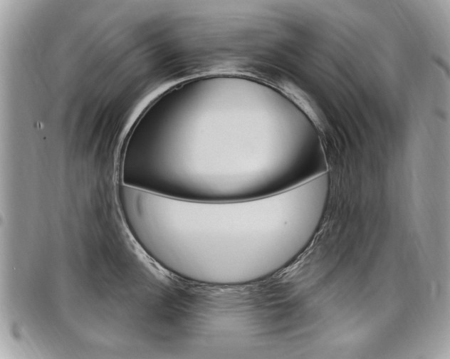 X0000097971148200803241014