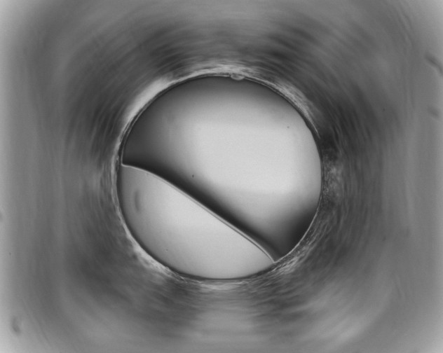X0000097971151200803241014