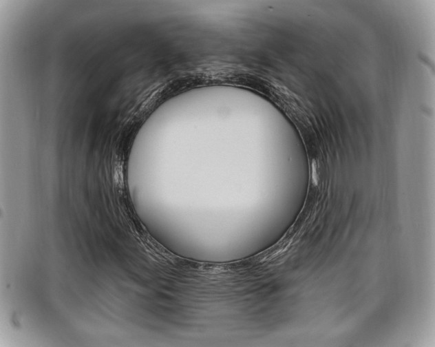 X0000097971155200803241013