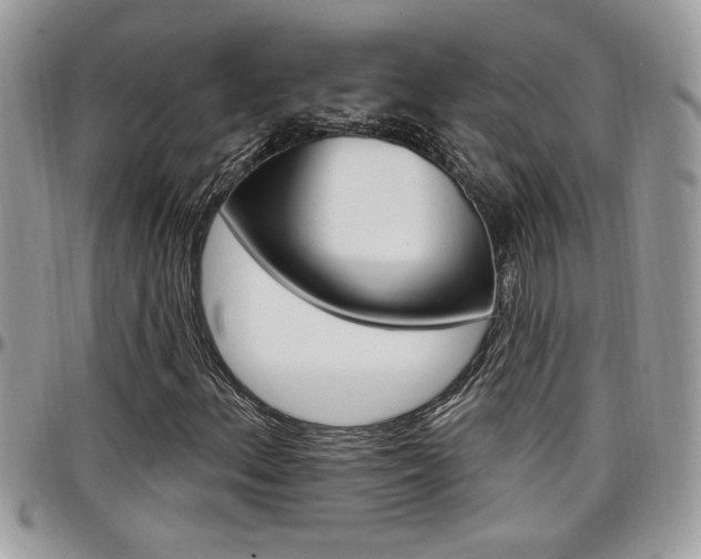X0000097971156200803241013