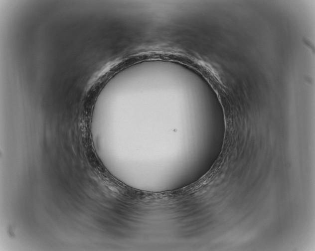 X0000097971159200803241013
