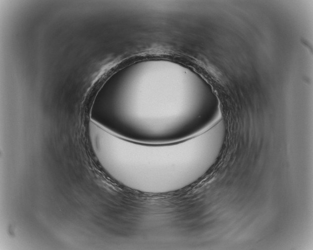 X0000097971160200803241013