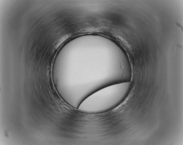 X0000097971162200803241013