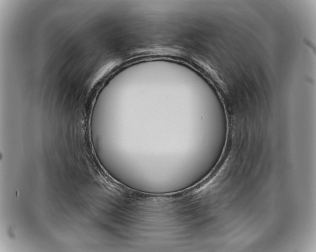 X0000097971163200803241013