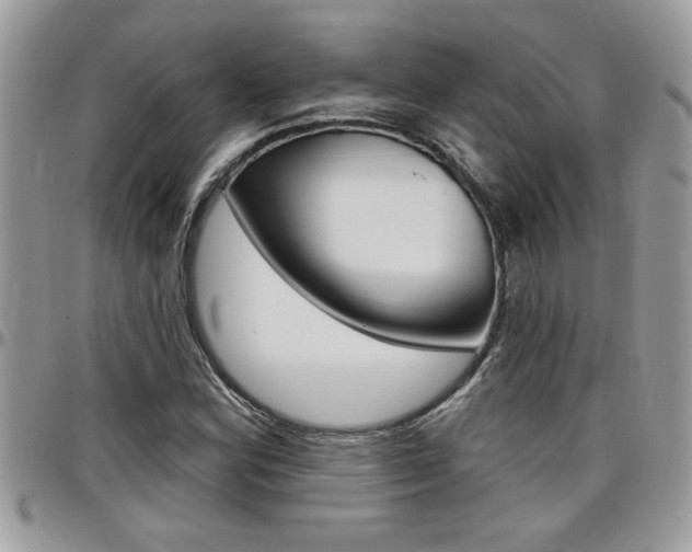 X0000097971164200803241013