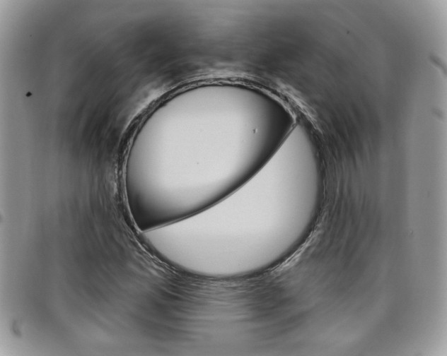X0000097971165200803241013