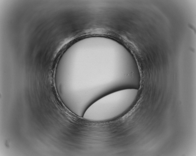 X0000097971166200803241013
