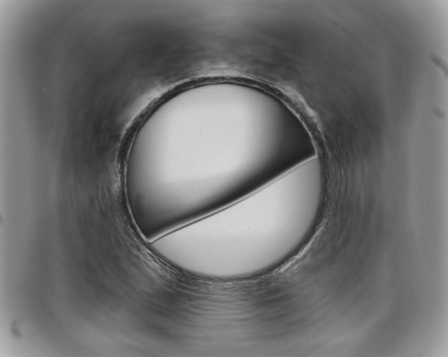 X0000097971167200803241013