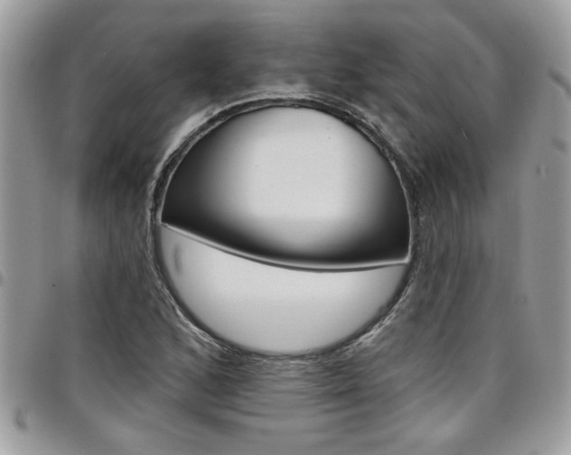 X0000097971168200803241013