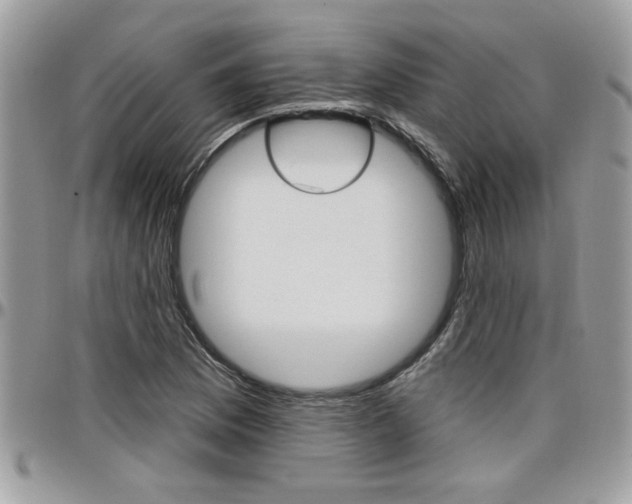 X0000097971169200803241013