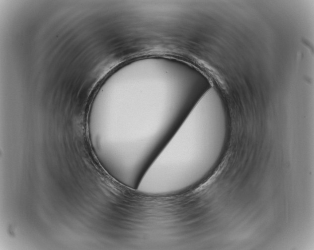 X0000097971170200803241013